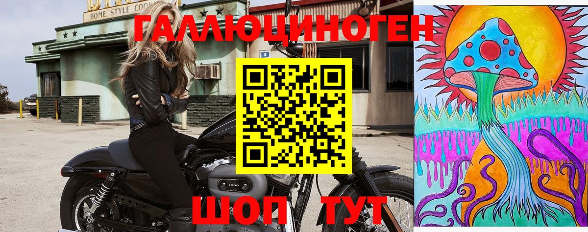 где продают наркотики  Вход с VPN  Псилоцибиновые грибы GOLDEN TEACHER  Сухой Лог  Псилоцибиновые грибы MAGIC MUSHROOMS 