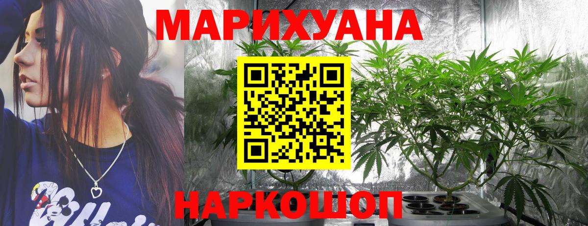Бошки Шишки марихуана  Вход с VPN  Шишки марихуана Amnesia  Сухой Лог 